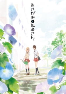 Kimi no Hikari- Asagao to Kase-san