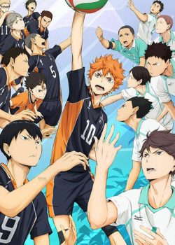 Thiếu niên bóng chuyền !! Người thắng và kẻ bại